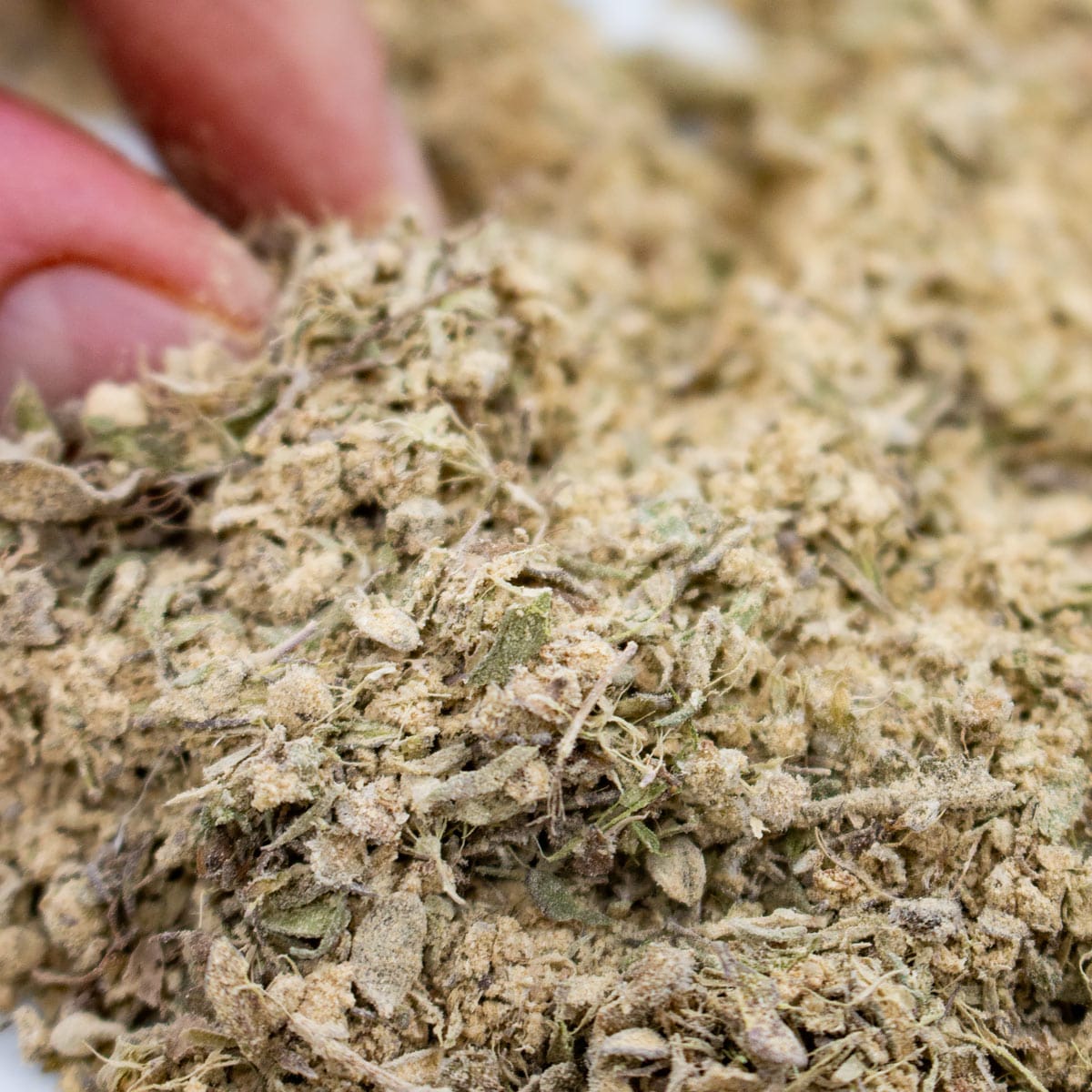 Garlic Herb Seasoning gog 1 1200