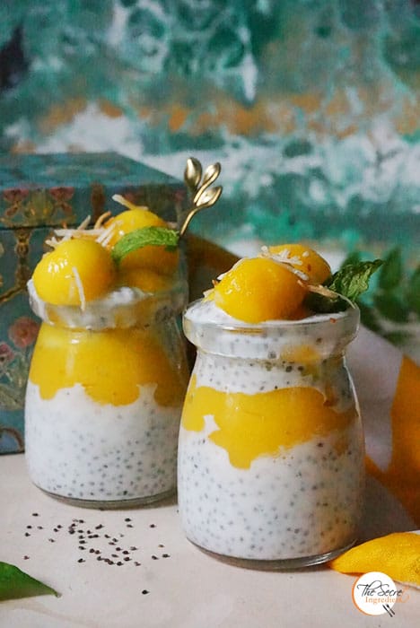 MangoChia Featured3