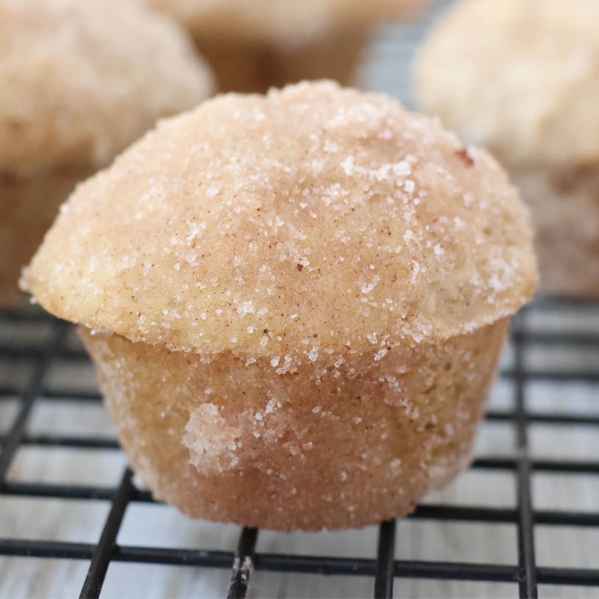 Sourdough Doughnut Muffins 3