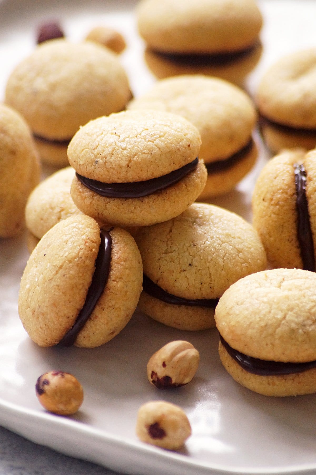 italian chocolate hazelnut cookies