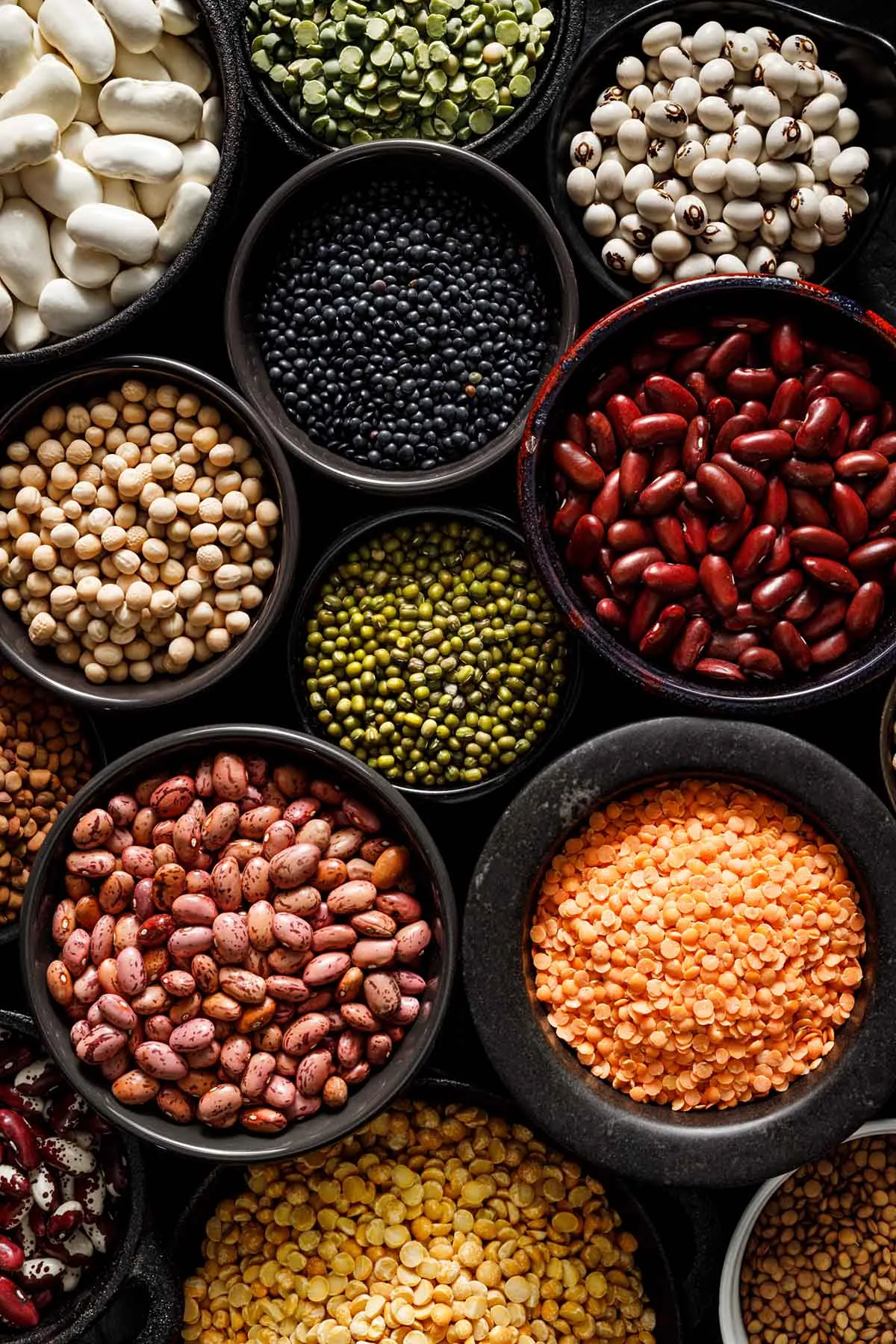 types of beans jpg