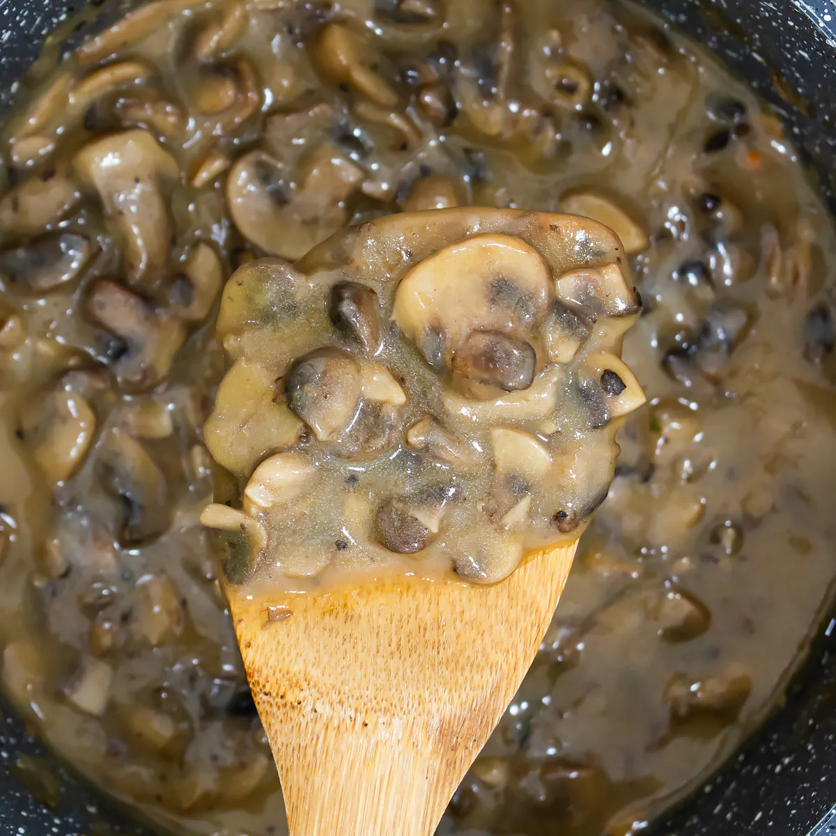 Mushroom Gravy Recipe gog jpg