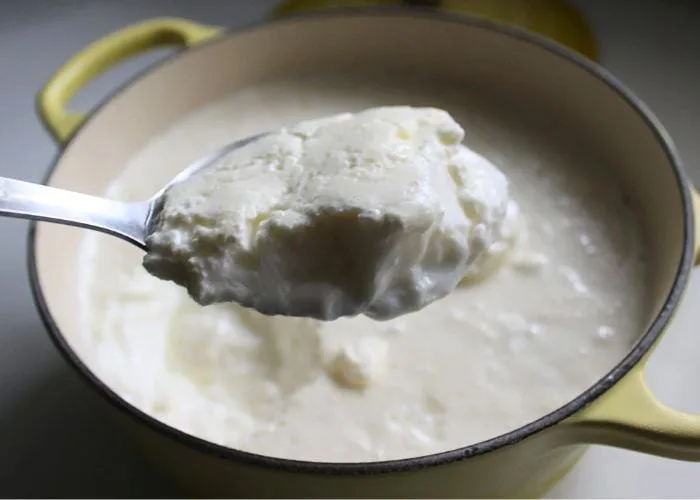 yogurt jpg