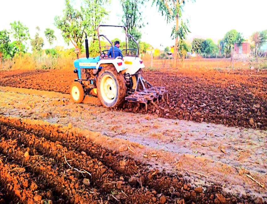 KCT NEWS – Farmers have to sow mustard twice, increased concern due to seeds not | किसानों को दो बार करनी पड़ रही सरसों की बुवाई, बीज अंकुरित नहीं होने से बढ़ी चिंता – New Update