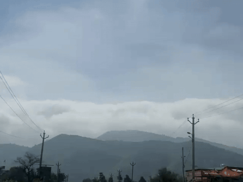 1000115183 1753763726.gif