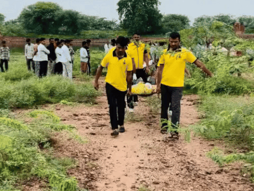 1000805013 1753595337.gif