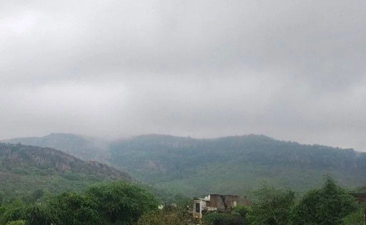 1001301769 1753674703.jpg