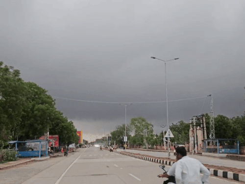 1003393245 1753853956.gif