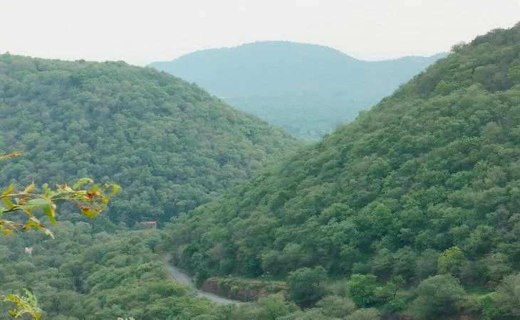 1003877808 1753760125.jpg