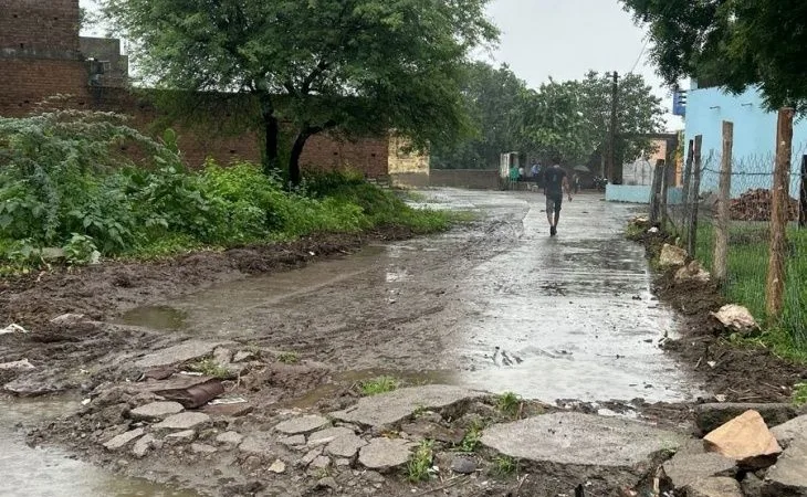 52fc8f3d ab4b 4e63 a176 616b6f3d1bb11753932241996 1753944564.jpg