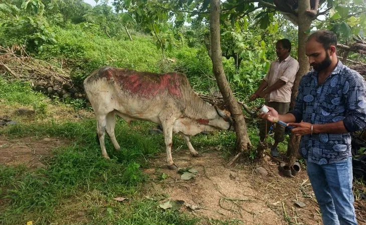 9da9865c 5e51 4e9f 89c1 157d0d8cf94c 1753528816820.jpg