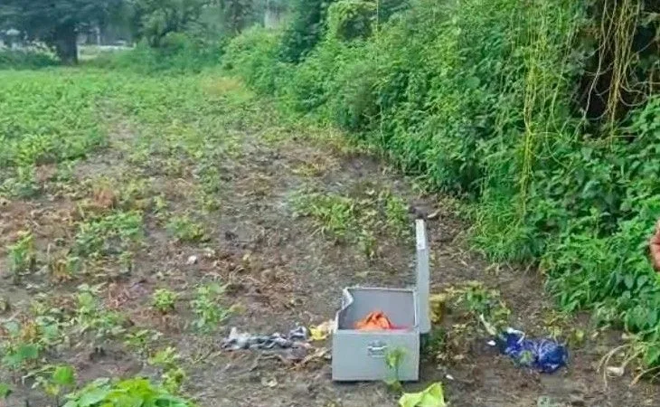 b1d4011f 09cb 432d 80df fe8dffc2215a 1753554191180.jpg