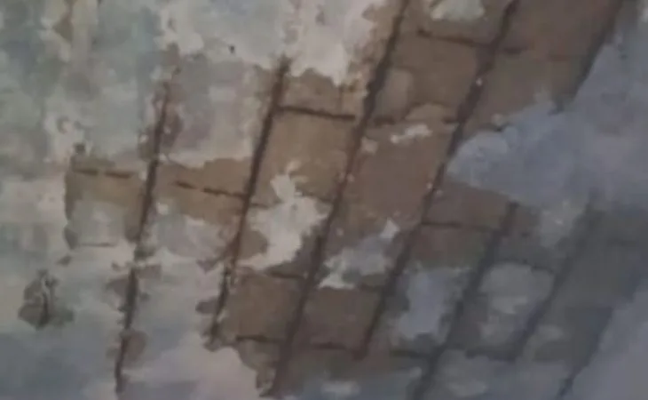 bde24679 8ce5 4c7e 9adc 3f298e3e32d01753530454487 1753531844.jpg