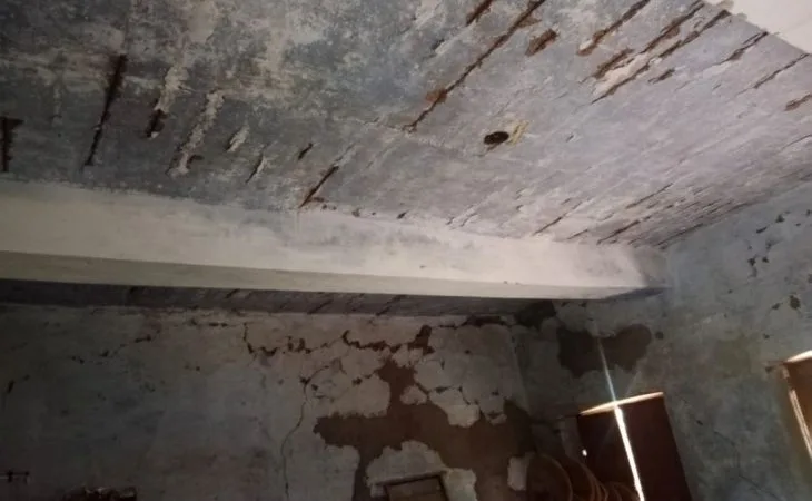 d3c18645 66da 48e4 9bad 36f43ea9fe431753696879770 1753702003.jpg