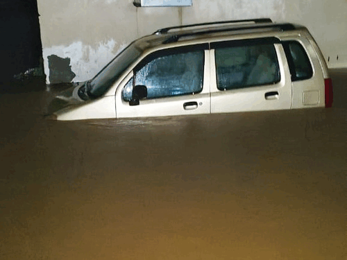 ezgifcom resize 1753839657.gif