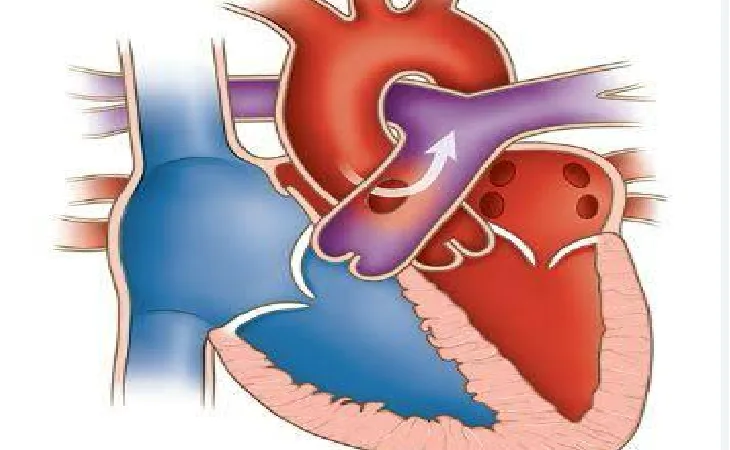 img 20250727 wa0019 1753629102.png