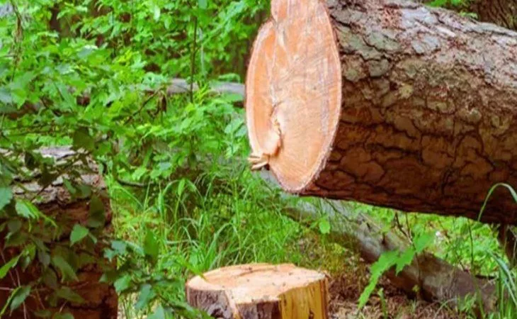 orig 1 1753907334.jpg