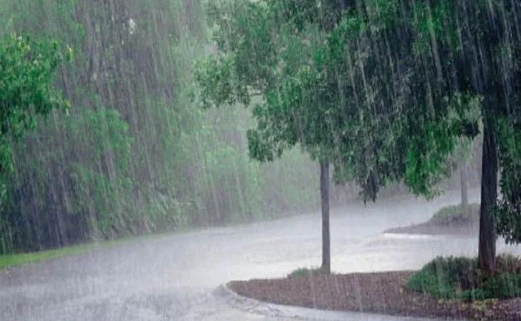 orig origorigorig8162429925316312313731641932008 1753902462.jpg