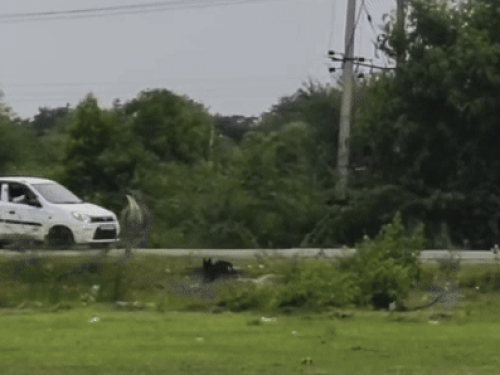 vo41753886488 ezgifcom resize 1753888117.gif