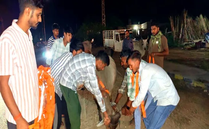 whatsapp image 2025 07 30 at 102021 fotor 20250730 1753851347.jpg