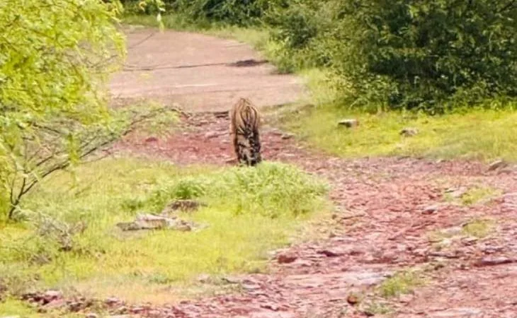 0d314d6e d391 466a 9662 887805e150041755525495286 1755528301.jpg