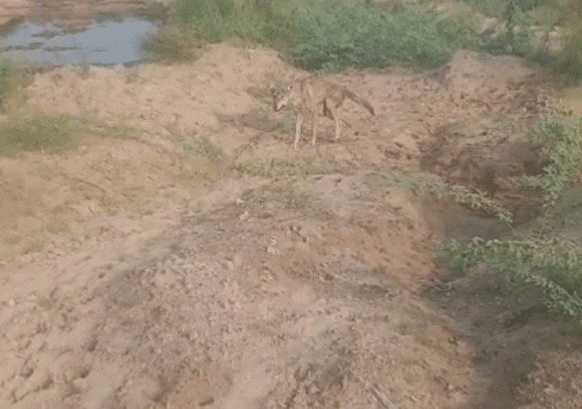 1000004291 1755493380.gif