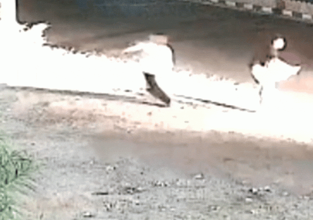 1000005392 1755792171.gif