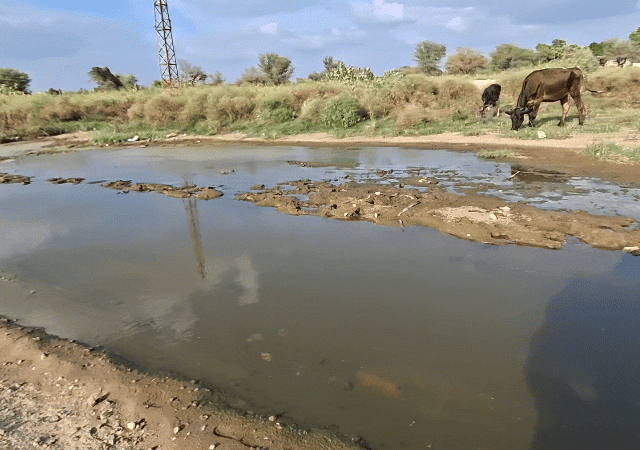 1000062211 1755013555.gif