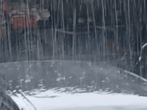 1000172329 1755918453.gif