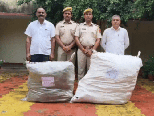 1000187293 1756636517.gif