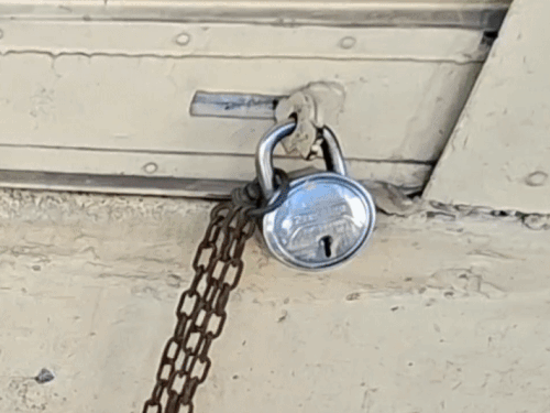 1000233763 1755665482.gif