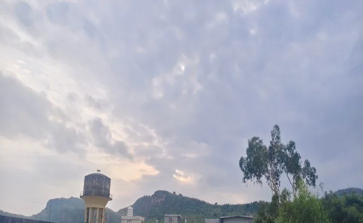 1001378203 1754882013.jpg