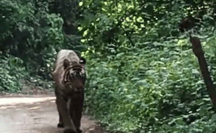 1001426816 1755497058.gif