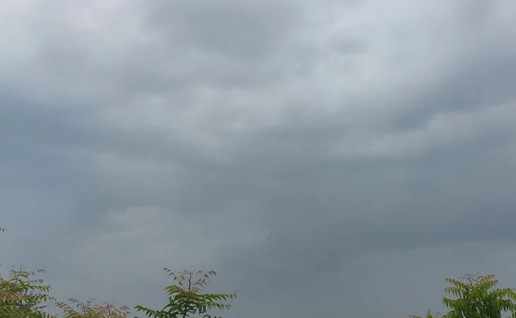 1001548272 1754718244.jpg