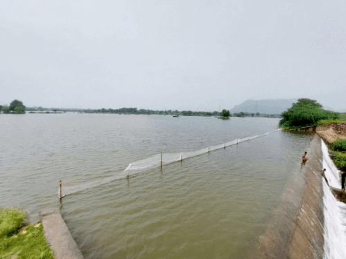 1001602399 1756097288.gif