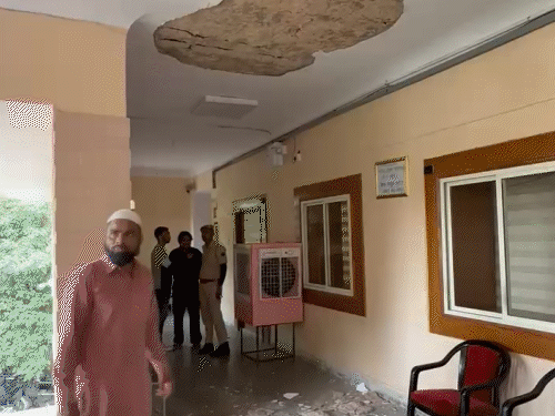 1003144558 1754909147.gif