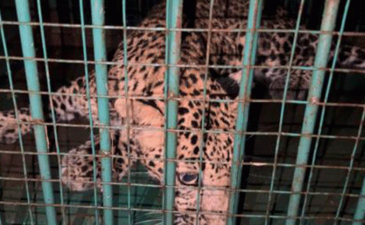 1003221842 1756040578.gif