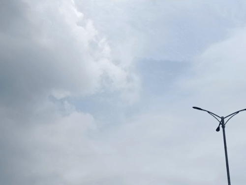 1003241758 1755063663.gif