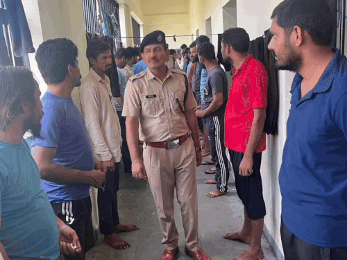 1003680810 1754025637.gif