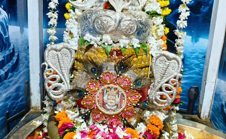 1003968174 1754718796.gif