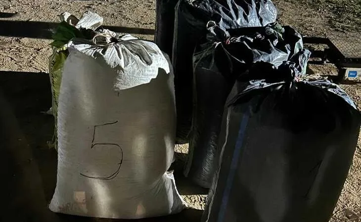 1004025281 1755333775.jpg