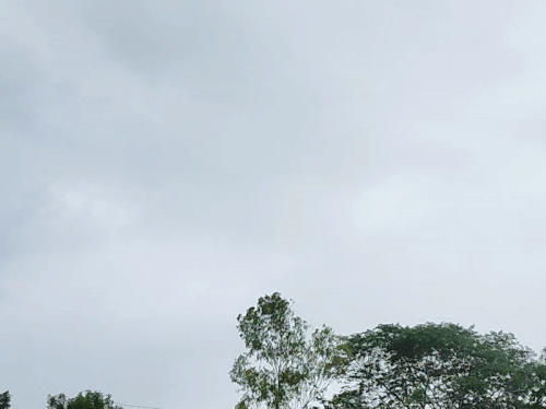 1004085734 1756093022.gif