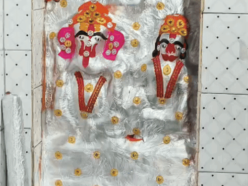 1004097503 1756227575.gif