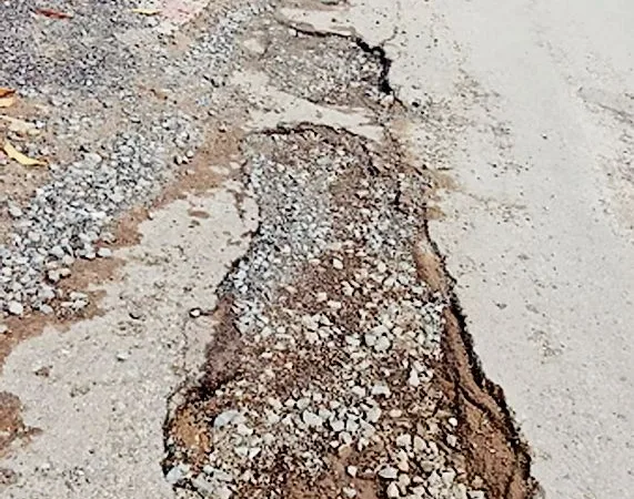 105 17548289436898908f3225f whatsappimage.jpg