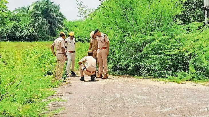 195 175456596968948d513fb24 5fa5d4040db54.jpg