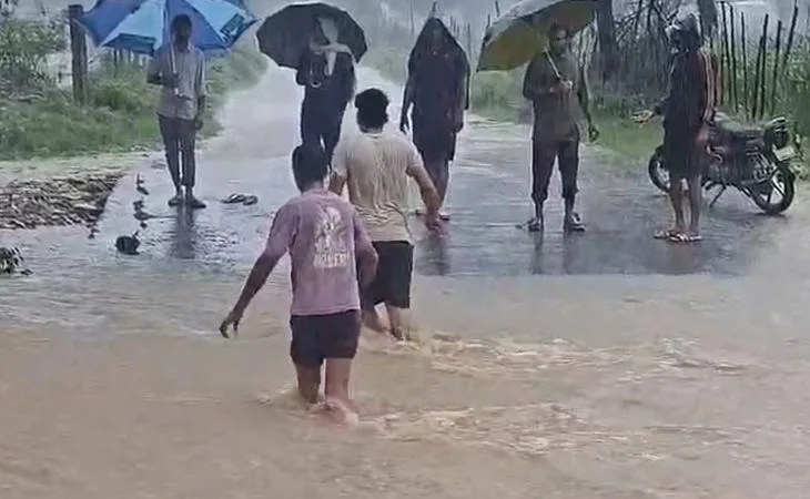 3e629324 8975 4f23 b7f2 2aa2bf03fa931756011090270 1756014881.jpg