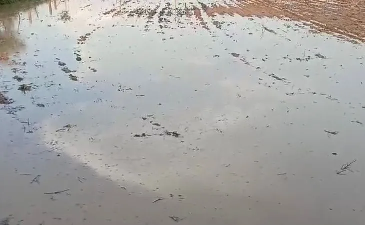 5e524864 9d52 40f3 98d7 dc3678285bc81754104699065 1754112154.jpg