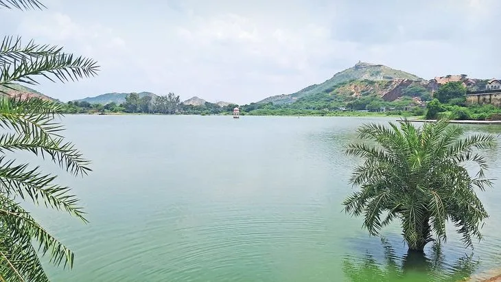 app 1754482105689345b9c0a82 1000820293.jpg