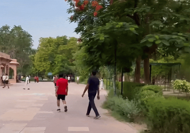 ashok udhyan 1755014401.gif