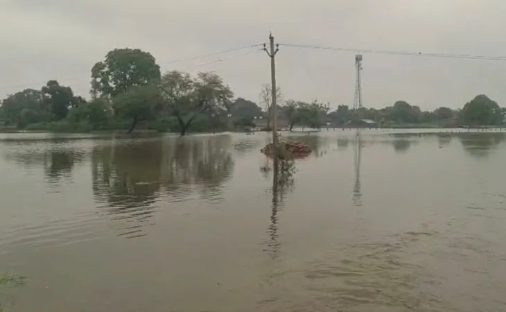 bbfb1152 73b5 42a7 b16c be1de7f7eff71755330810673 1755334722.jpg